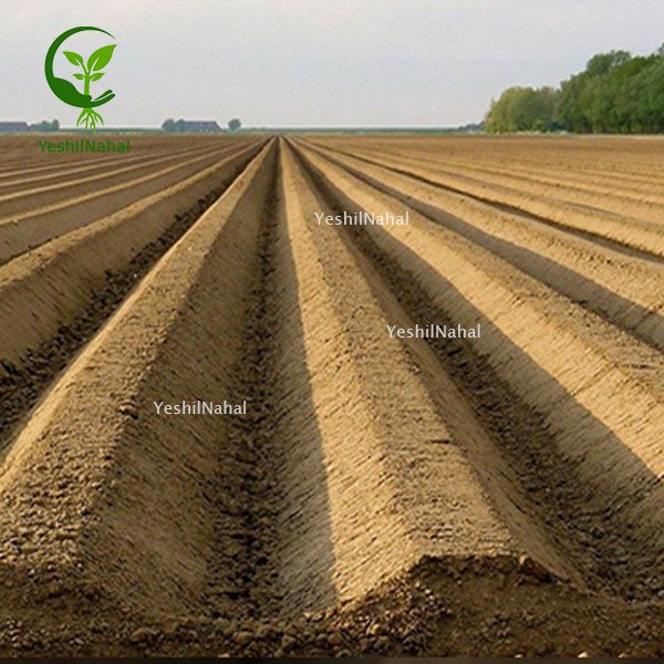 اصول احداث باغ پسته و زمین باغ