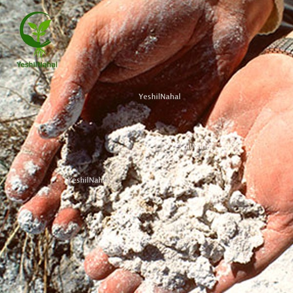 کاهش دادن شوری خاک 