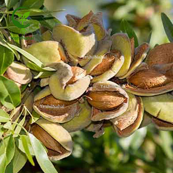 1 1